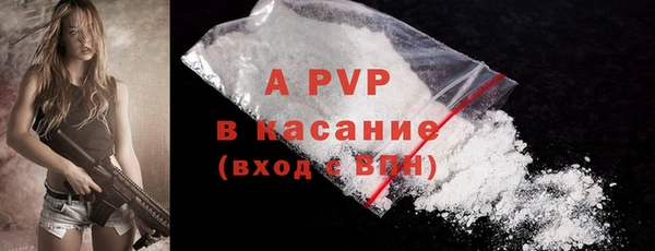 СК Арсеньев