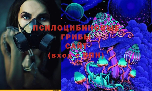 твердый Аркадак