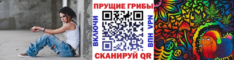 Галлюциногенные грибы Psilocybine cubensis Спас-Клепики